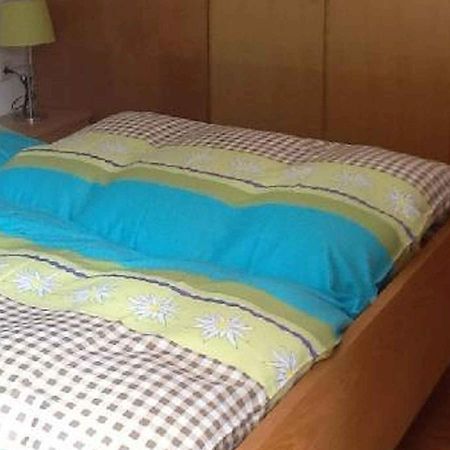 Appartement Schlesierhaus à Dachsberg im Schwarzwald Extérieur photo