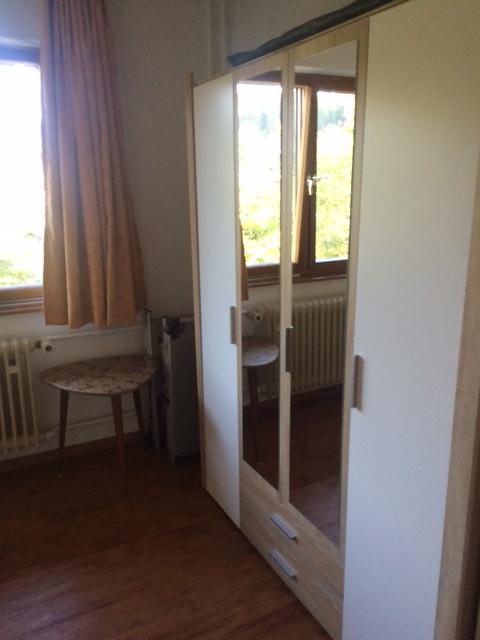 Appartement Schlesierhaus à Dachsberg im Schwarzwald Extérieur photo