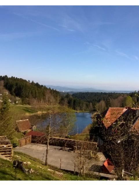 Appartement Schlesierhaus à Dachsberg im Schwarzwald Extérieur photo