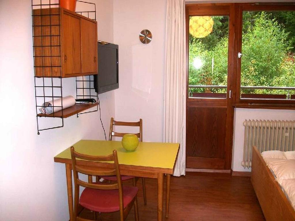 Appartement Schlesierhaus à Dachsberg im Schwarzwald Extérieur photo